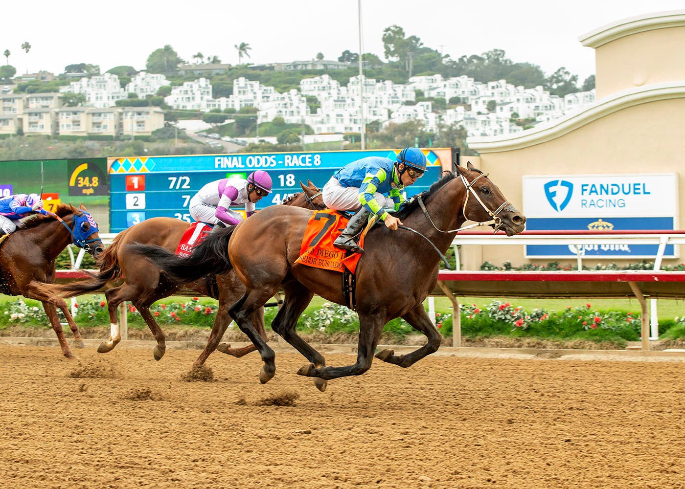 Senor Buscador comes from last to steal San Diego Handicap